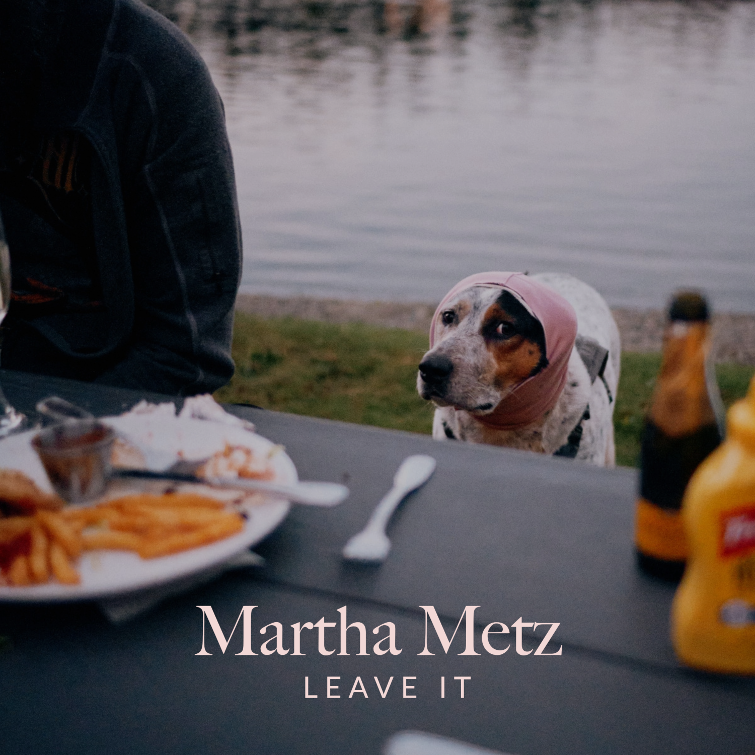 Leave It Album Cover